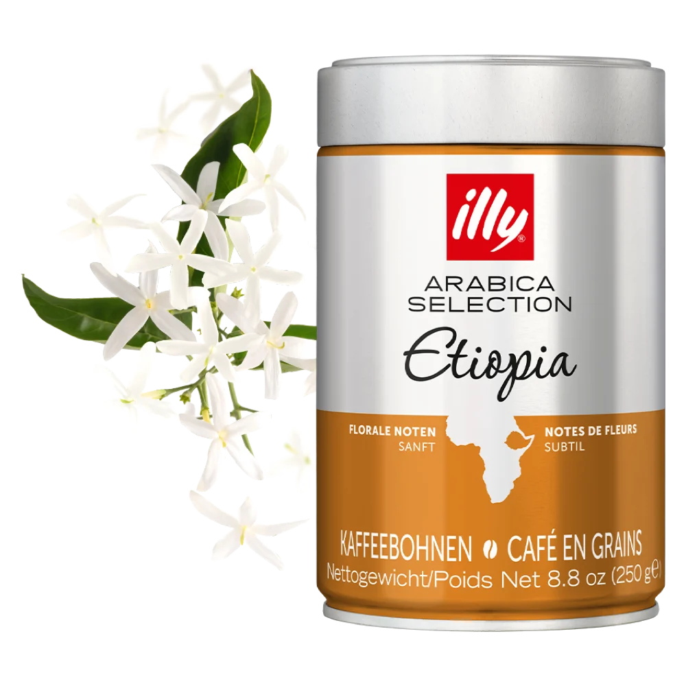 حبوب قهوة illy Arabica Selection إثيوبيا 250 غرام – صورة 2